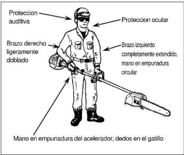 Maruyama P23 - CUIDADO - 2