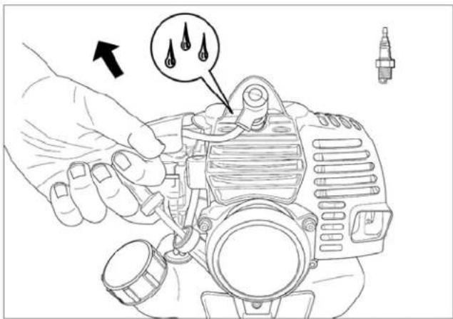 Maruyama P23 - Storage - 1