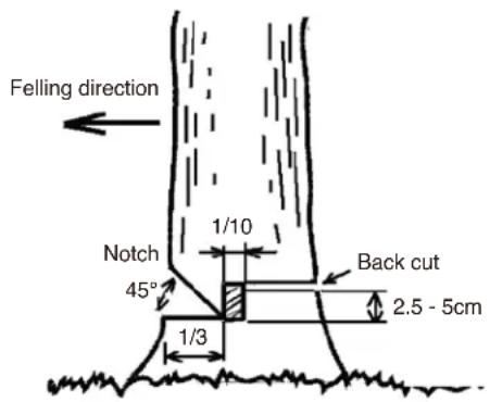 Maruyama MCV31R - CAUTION - 1