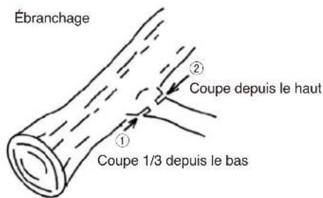 Maruyama MCV31R - ! AVERTISSEMENT - 1