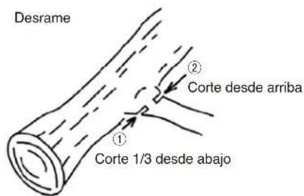 Maruyama MCV31R - ADVERTENCIA - 1