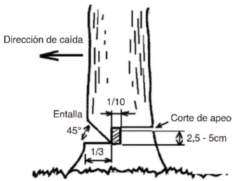 Maruyama MCV31R - PRECAUCIÓN - 1