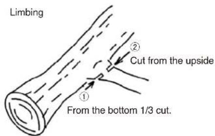 Maruyama MCV31R - WARNING - 1