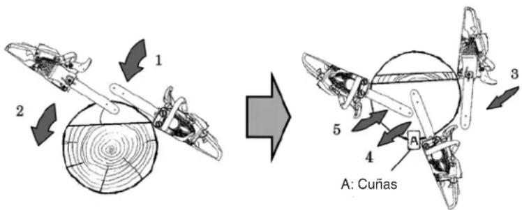 Maruyama MCV31R - TALA DE ÁRBOLES DE GRANDES DIMENSIONES - 1