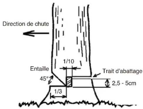 Maruyama MCV31R - PRÉCAUTION - 1