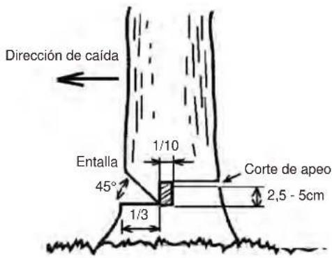 Maruyama MCV31T - PRECAUCIÓN - 1