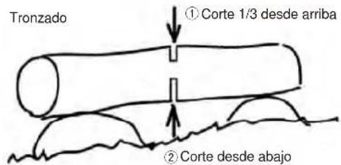 Maruyama MCV31T - ADVERTENCIA - 2