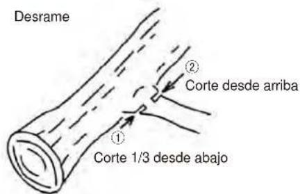 Maruyama MCV31T - ADVERTENCIA - 1