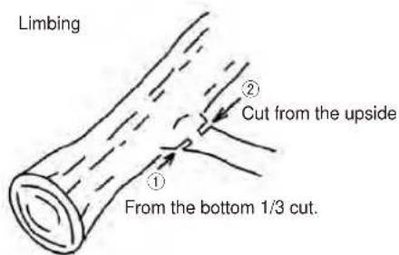 Maruyama MCV31T - WARNING - 1