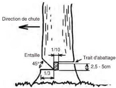 Maruyama MCV31T - PRÉCAUTION - 1