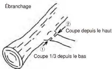 Maruyama MCV31T - AVERTISSEMENT - 1