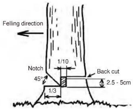 Maruyama MCV31T - CAUTION - 1