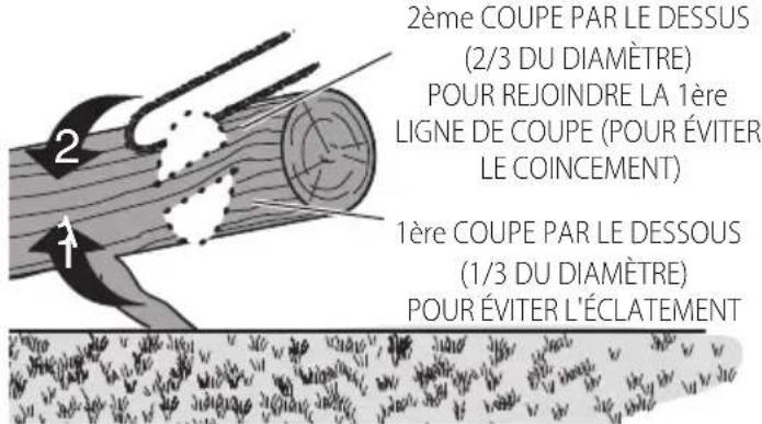 2ème COUPE PAR LE DESSUS (2/3 DU DIAMÈTRE) POUR REJOINDRE LA 1ère LIGNE DE COUPE (POUR ÉVITER LE COINCEMENT) 1ère COUPE PAR LE DESSOUS (1/3 DU DIAMÈTRE) POUR ÉVITER L'ÉCLATEMENT