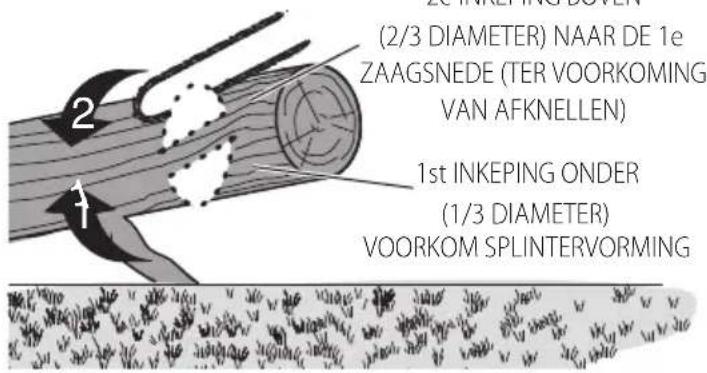 DEWALT DCMPS520 - Stammen in stukken zagen - 3
