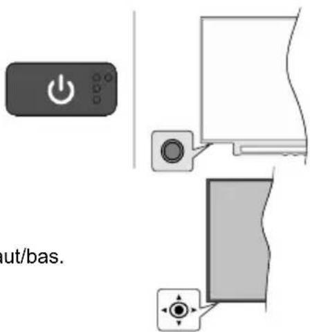 nut/bas.