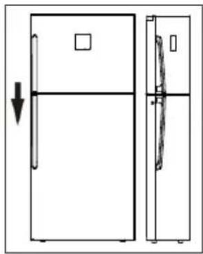 TCL RP536TXE1 - Ice-making (If the appliance has it) - 1