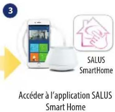 Salus SQ610BRF - Installation en mode EN LIGNE - 3
