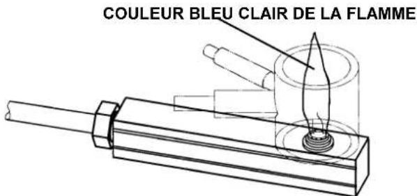 DOMETIC RM 4223 - Examen et nettoyage du brûleur, du conduit et de l'ajutage - 2