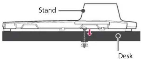 Stand Desk