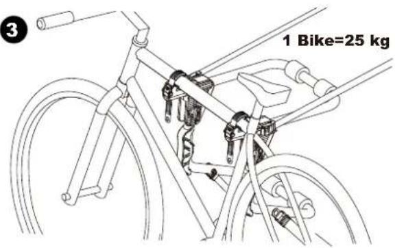 Buzz Rack Colibri - 21