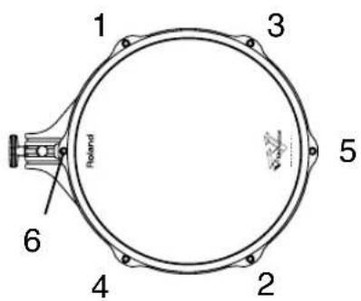 1 3 5 6 4 2