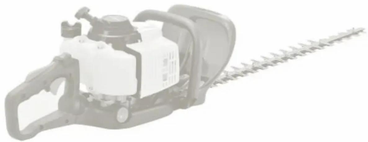 Anova CG2660 - CG2660 - 1