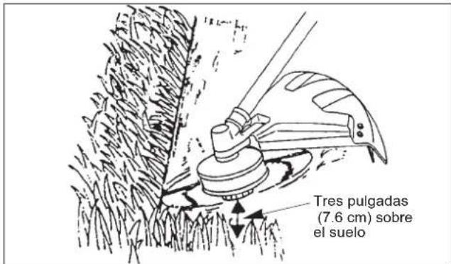 Maruyama BT230L - Cortando - 1