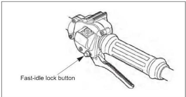 Maruyama BT230L - Cold Starting Procedure - 3