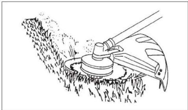 Maruyama BT230L - Mowing - 1