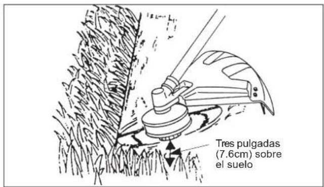 Maruyama B42L - Cortando - 1