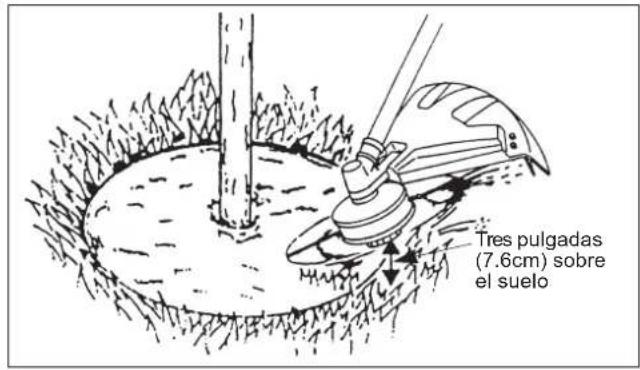Maruyama B42L - Recortando - 1