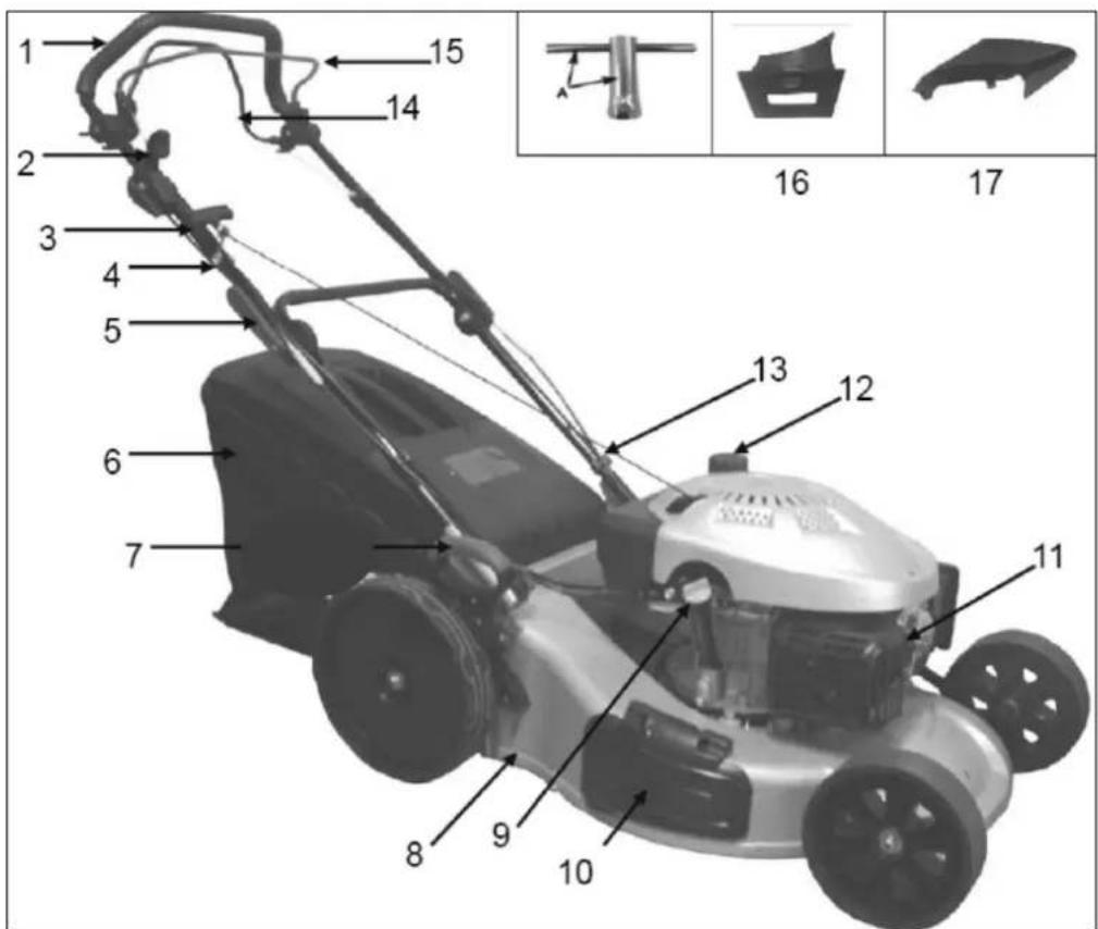 Anova CC251TA - DESCRIPTION DES PIÈCES - 1