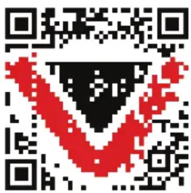 V-TAC VT-5161 - Εντολές στο Google: - 1
