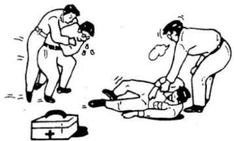 Maruyama MS657 - ADVERTENCIA - 1