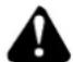 Maruyama MS657 - DANGER - 1