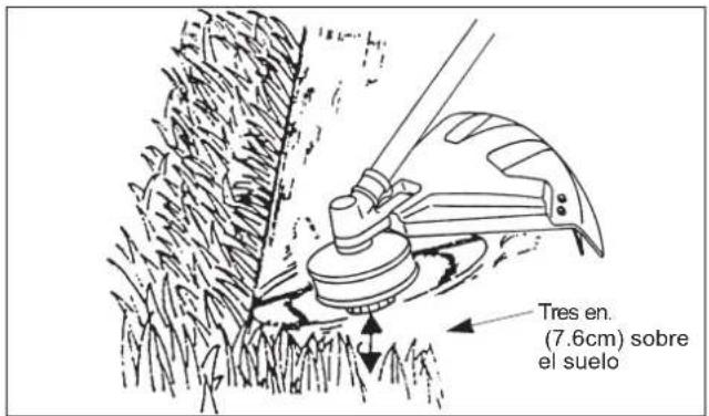 Maruyama MT23L - Cortando - 1