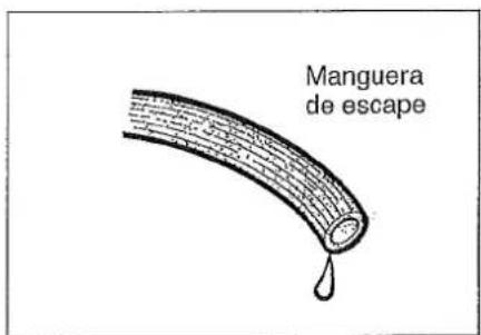 Maruyama MS331 - Si les tuyaux vibrent ... - 3