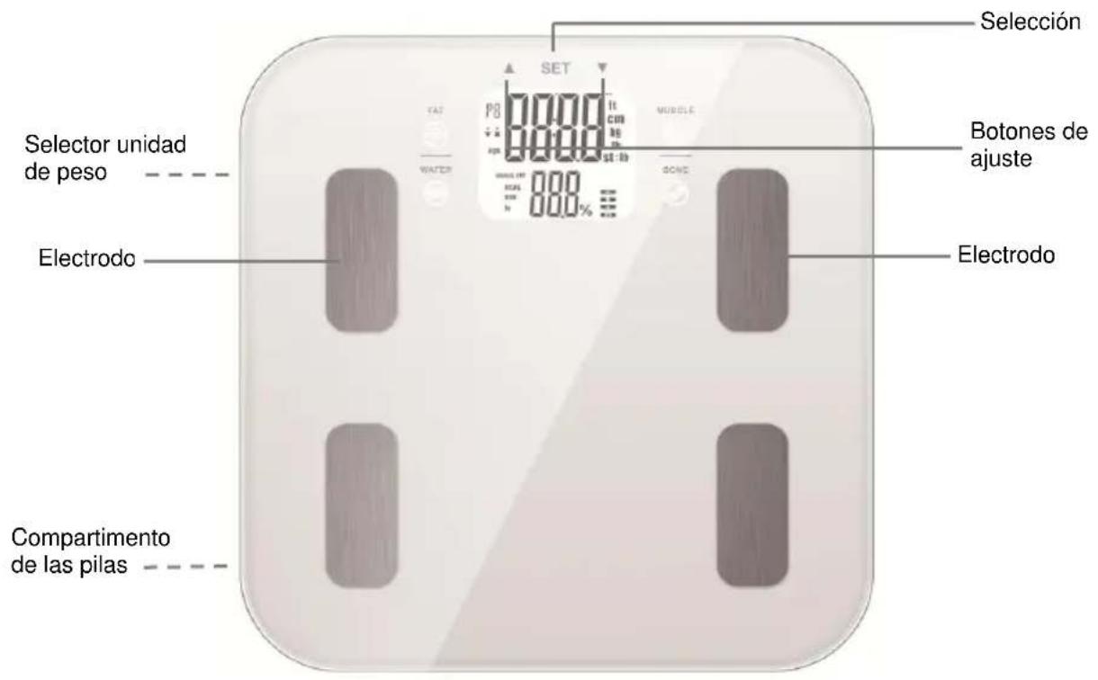 Mx Onda MX-PB2450-1 - MEDIDAS DE SEGURIDAD - 1