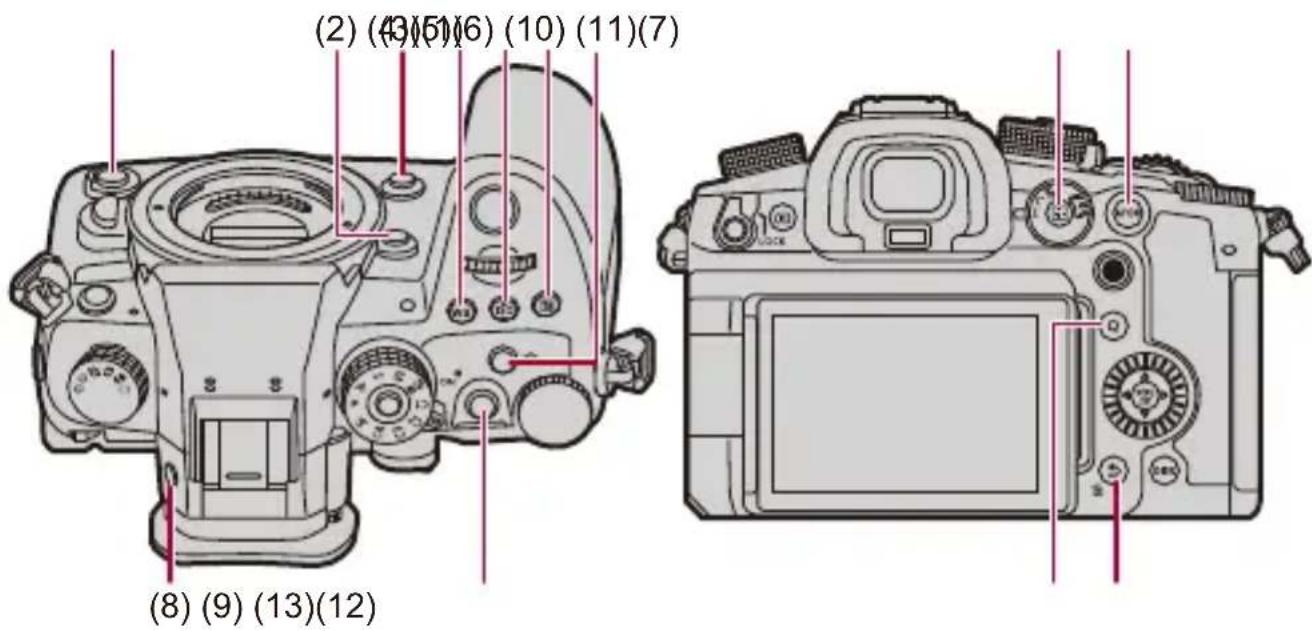 (2) (4)(5)(6) (10) (11)(7) (8) (9) (13)(12)