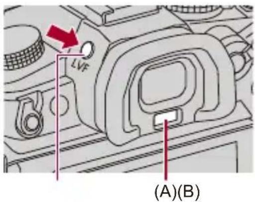 (A)(B)