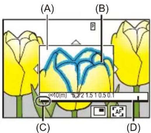 (A) (B) ∞10(m) 5.3/2 1.5 1 0.5 0.1 (C) (D)