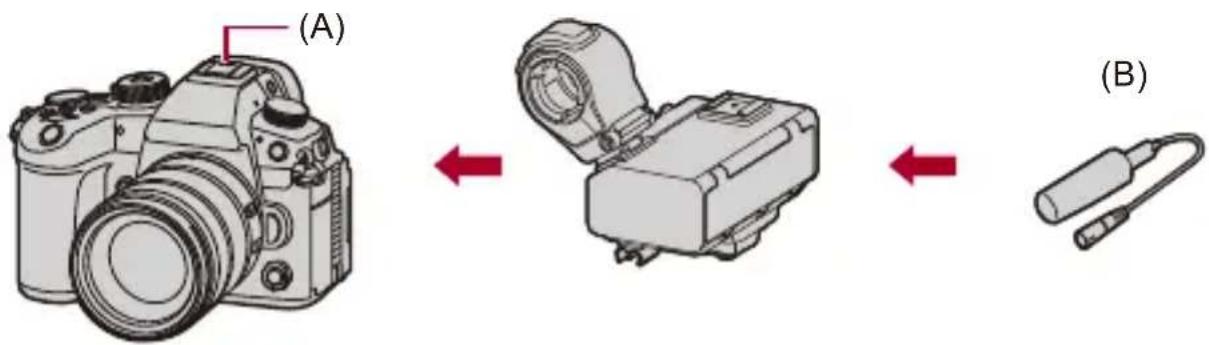 (A) (B)
