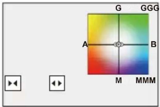 PANASONIC Lumix DC-GH7 - Plus de param.] (Bracketing de la balance des blancs) - 3