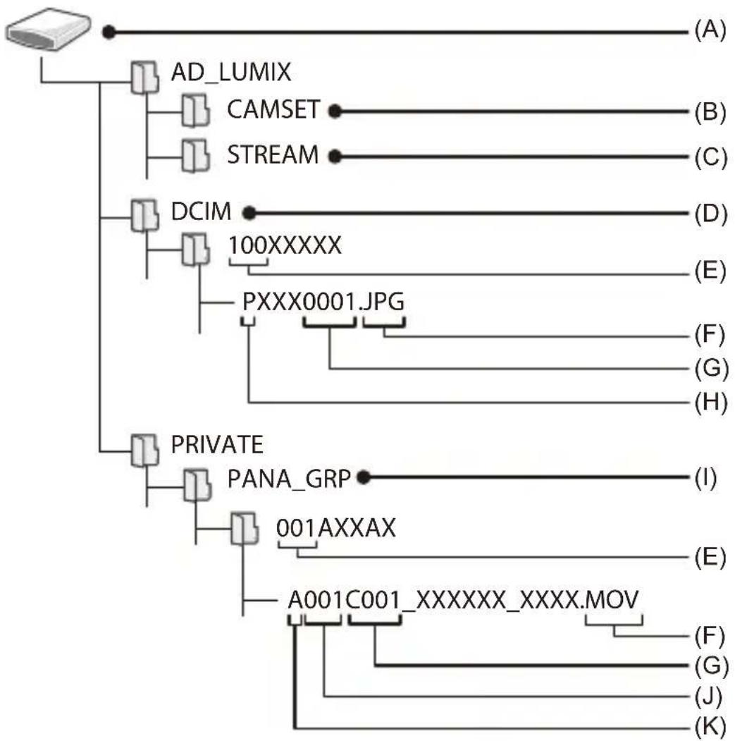 PANASONIC Lumix DC-GH7 - Structure des dossiers d'une carte - 1