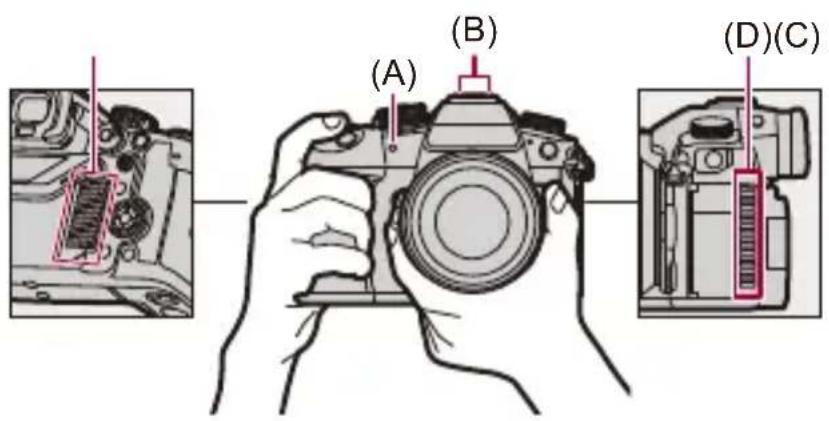 (A) (B) (D)(C)
