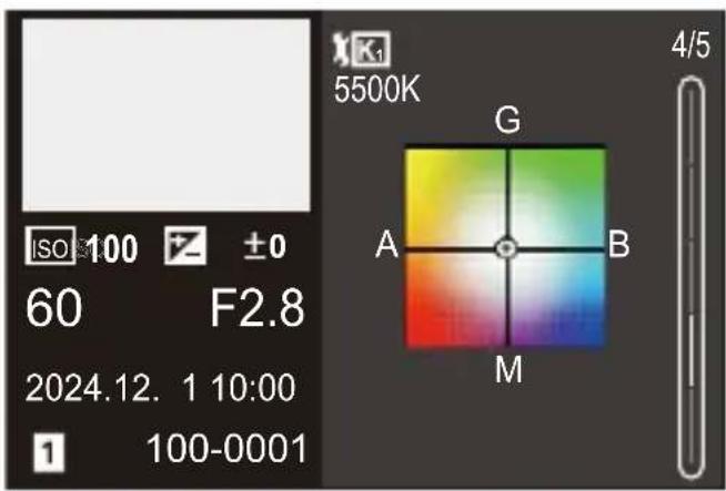 ISO 100 ±0 60 F2.8 2024.12. 1 10:00 1 100-0001 5500K G A B M 4/5