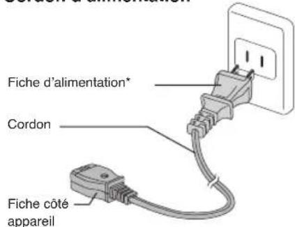 Fiche d'alimentation* Cordon Fiche côté appareil