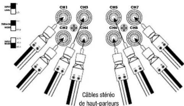 INFINITY Marine M6008A - CÁBLAGE DU SIGNAL D'ENTRÉE - 8