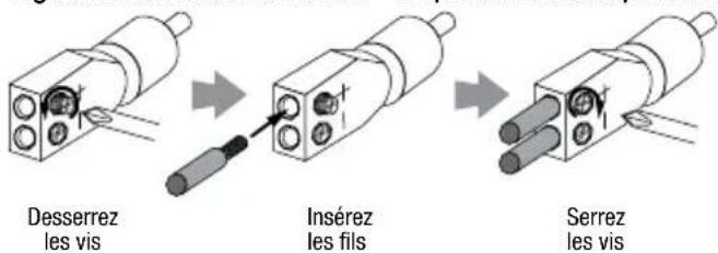 INFINITY Marine M6008A - CÁBLAGE DU SIGNAL D'ENTRÉE - 5