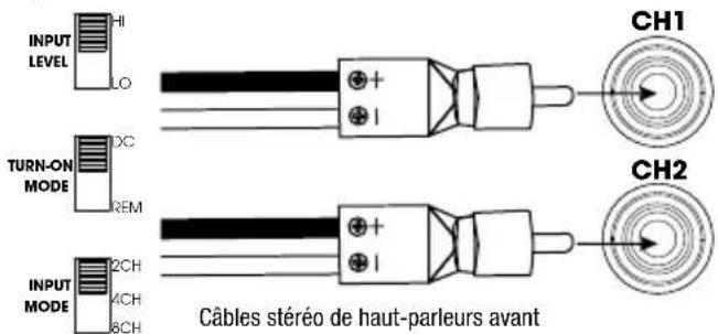 INFINITY Marine M6008A - CÁBLAGE DU SIGNAL D'ENTRÉE - 6